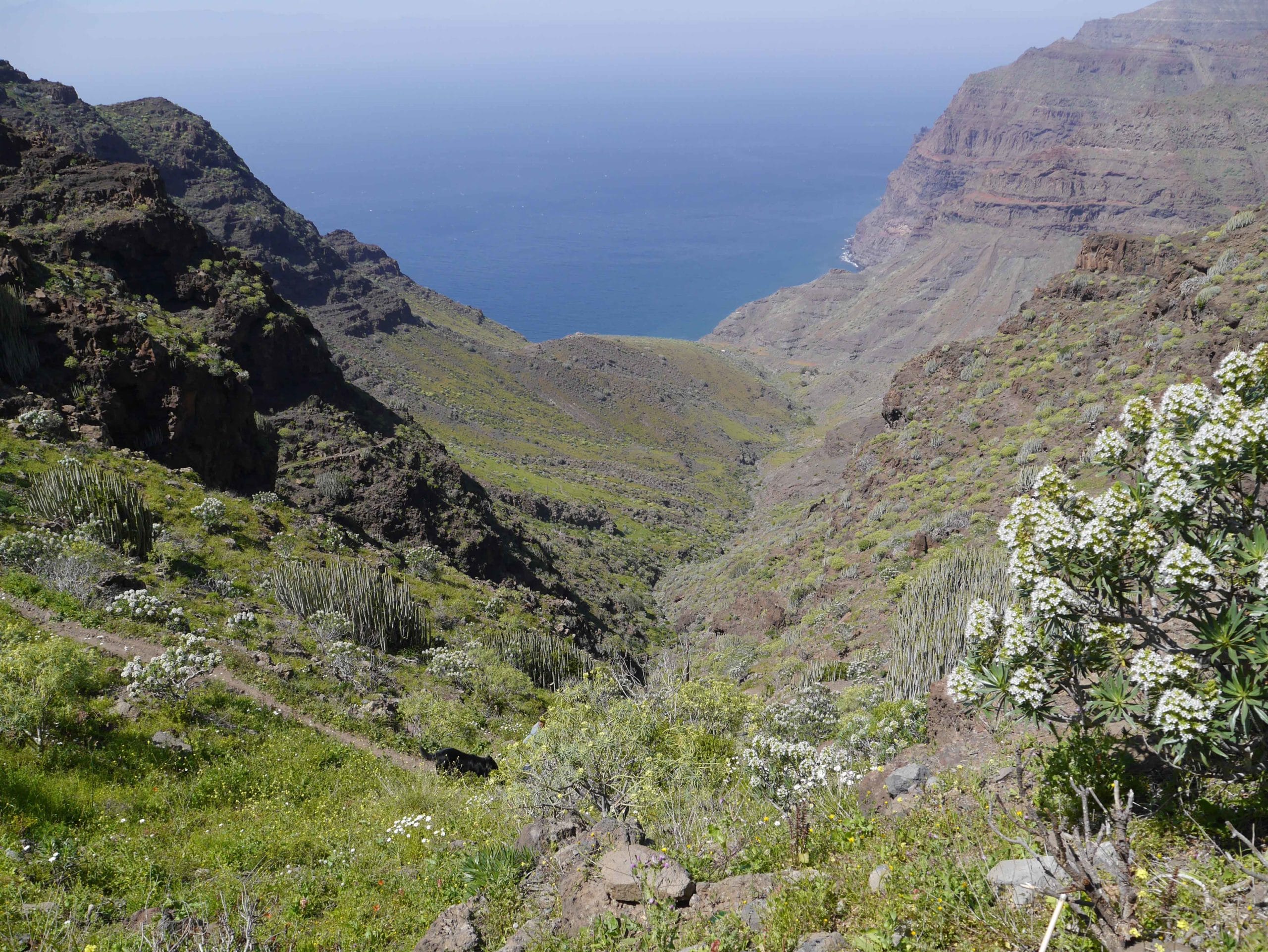 trekking randonnées voyages d'aventure
